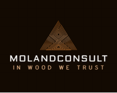 Molandconsult